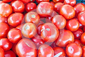 Heap of red tomatoes in food crate at farmer market in Washington, USA