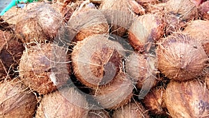 A heap of ripe coconuts stacked together