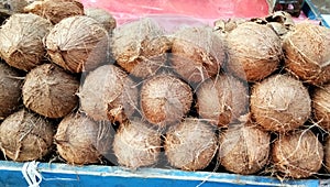A heap of ripe coconuts stacked together