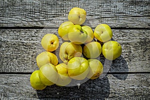 Heap of ripe quince apple fruits on a rustic wooden plank table. Autumn still life. Top view