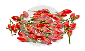 Heap of Ripe Red Peppers Piri-Piri photo