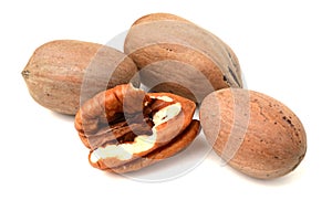 Ripe shelled pecan nuts.
