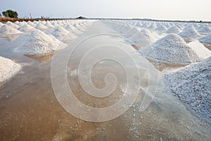 Heap of sea salt in original salt produce farm make from natural