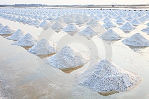 Heap of sea salt in original salt produce farm make from natural