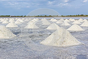 Heap of sea salt in salt farm ready for harvest.