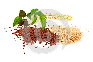 Heap of sesame and flax seeds with flower and green leaves isolated on white background