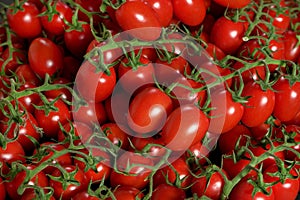 Heap of small cherry red tomatoes with green vine, photo from above