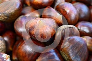 Heap of sweet chestnuts