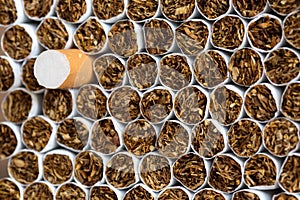 Heap of Tobacco Cigarettes Front View close up