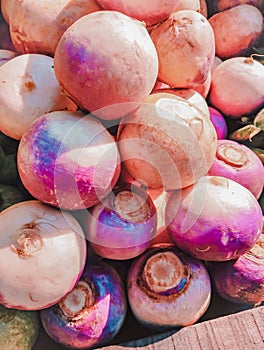 Heap of turnip root-vegetable food white turnip rutabaga turnips veggies shaljam sabzi shalgam edible roots vegetables photo