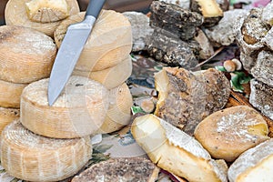 Heap of various aged ripe craft cheese on counter at farmers fair outdoor. Delicious Organic natural milk product