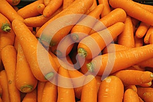 Heap of vibrant orange color carrots, for background