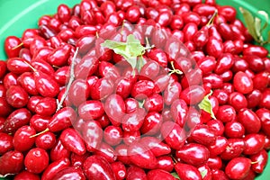 Heap of Vibrant Red Fresh Goji Berries For Sale in the Market