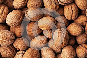 Heap of walnuts in a shell, pile of nuts background.