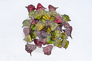 Heap of water caltrop or water chestnut fruit