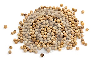 Heap of white peppercorns