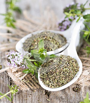 Heap of Winter Savory