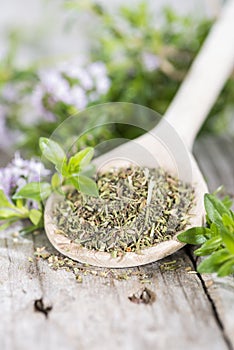 Heap of Winter Savory