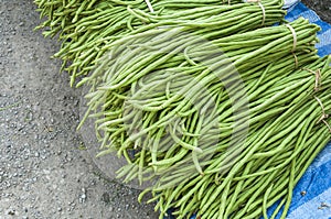 Heap of Yard Long Bean