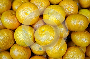 Heap of yellow ripe tangerines