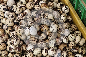 Heaped pile of quails eggs in basket