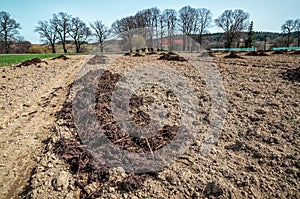 Heaps of agricultural manure in the country spring field