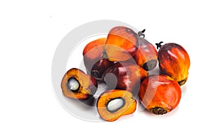 Heaps of freshly harvested oil palm fruits on white background.