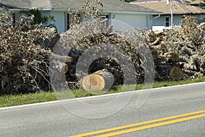 Heaps of limbs and branches debris from hurricane winds on street side waiting for recovery truck pickup in residential