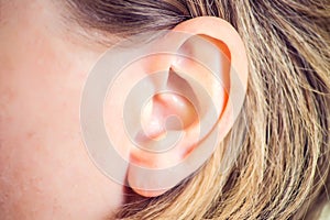 Hearing, health, beauty and piercing concept - close up of woman`s ear