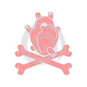 Heart Anatomy organ and crossbones isolated. Vector illustration photo