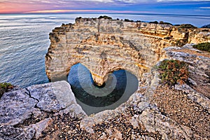 Heart Arch