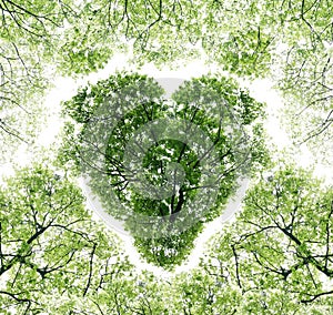 Heart on a background sky