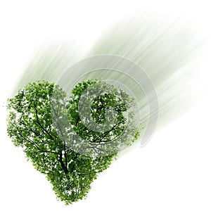 Heart on a background sky