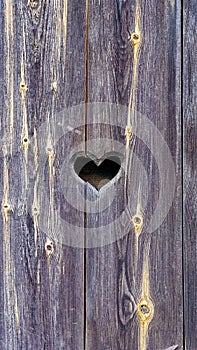 Heart on a background of wooden boards