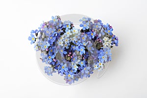 Heart of beautiful blue forget-me-not flowers isolated on white, top view