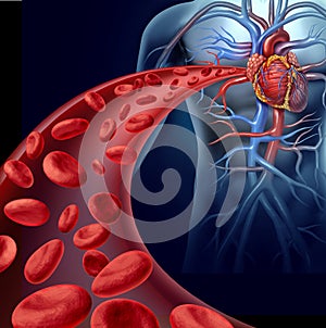 Heart Blood Health