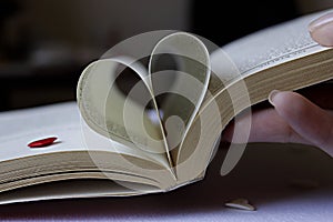 Heart of the book