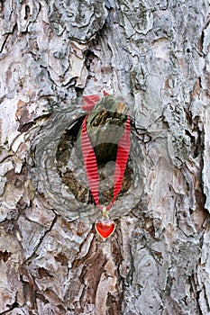 Heart bracelet on tree