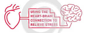 Heart and brain connection. Medical, scientific, healthcare concept.