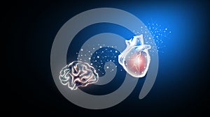 Heart and brain img