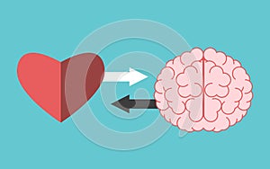 Heart and brain interaction