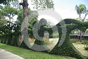 Heart bush fence fantasy garden