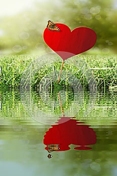 Heart with butterfly with water refections