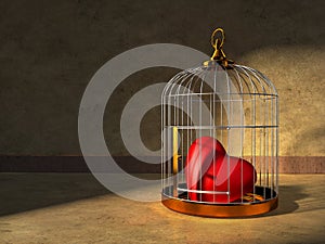 Heart in a cage