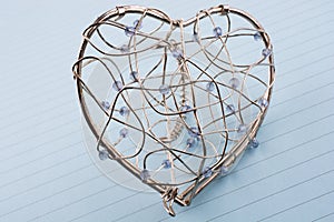 Heart cage