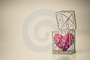 Heart in a cage
