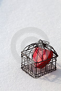 Heart in cage in the snow portrait view