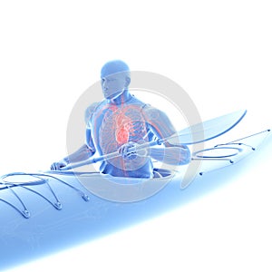 The heart of a canoeist