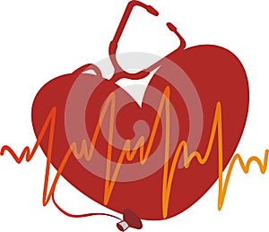 The heart cardiogramme