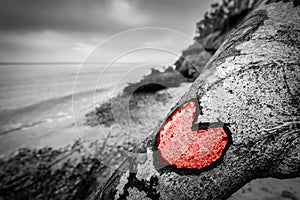 Heart carved into fallen tree trunk on wild beach and painted red. Love